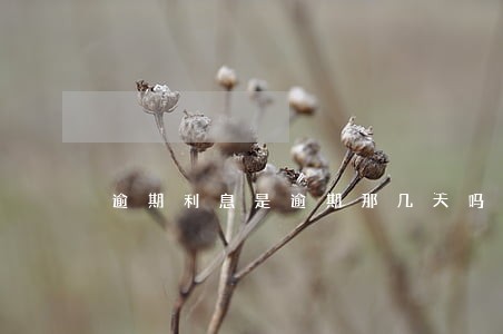 逾期利息是逾期那几天吗 逾期利息是逾期那几天吗