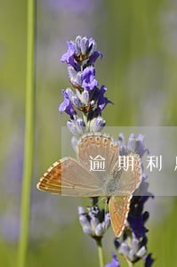 逾期利息最新消息 逾期利息最新消息