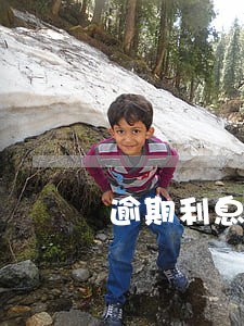 逾期利息最高不超过多少 逾期利息最高不超过多少