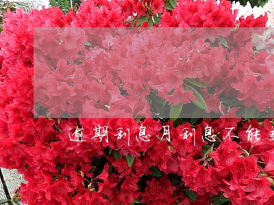 逾期利息月利息不能超过多少 逾期利息月利息不能超过多少