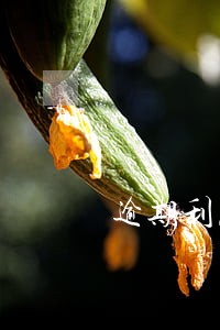 逾期利息有什么规定 逾期利息有什么规定