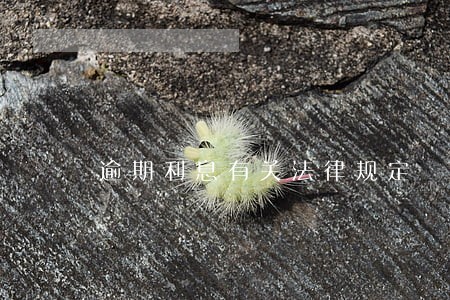 逾期利息有关法律规定 逾期利息有关法律规定