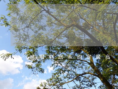 逾期利息未约定最高 逾期利息未约定最高
