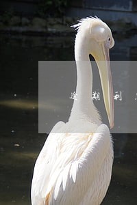 逾期利息未约定诉讼状 逾期利息未约定诉讼状