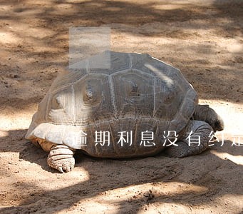 逾期利息没有约定怎么处理 逾期利息没有约定怎么处理