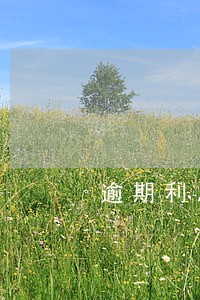 逾期利息没有还款期限的话