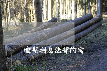 逾期利息法律约定