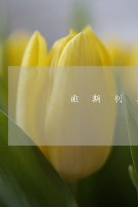 逾期利息滞纳金怎么算 逾期利息滞纳金怎么算