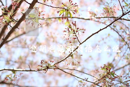 逾期利息用英语怎么说 逾期利息用英语怎么说