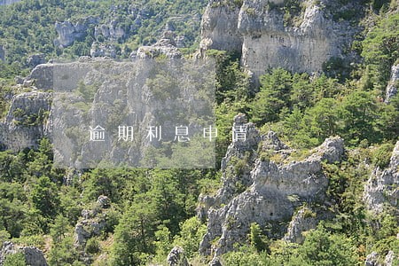 逾期利息申请 逾期利息申请