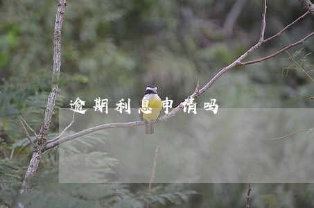 逾期利息申请吗 逾期利息申请吗
