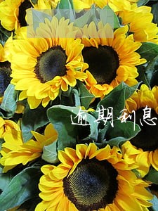 逾期利息百分之24半年 逾期利息百分之24半年