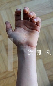 逾期利息百分之6 逾期利息百分之6