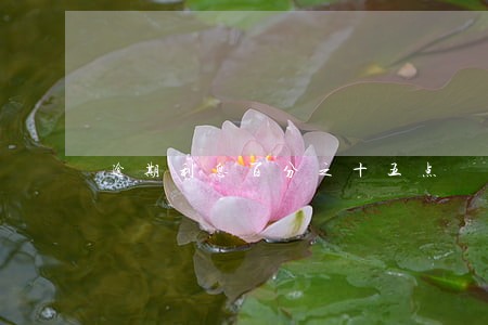 逾期利息百分之十五点