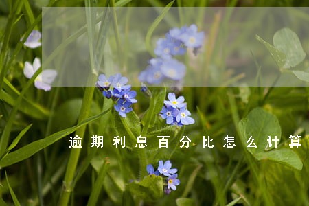 逾期利息百分比怎么计算