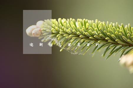 逾期利息百度百科 逾期利息百度百科