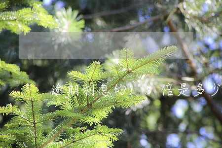 逾期利息的15倍是多少呢