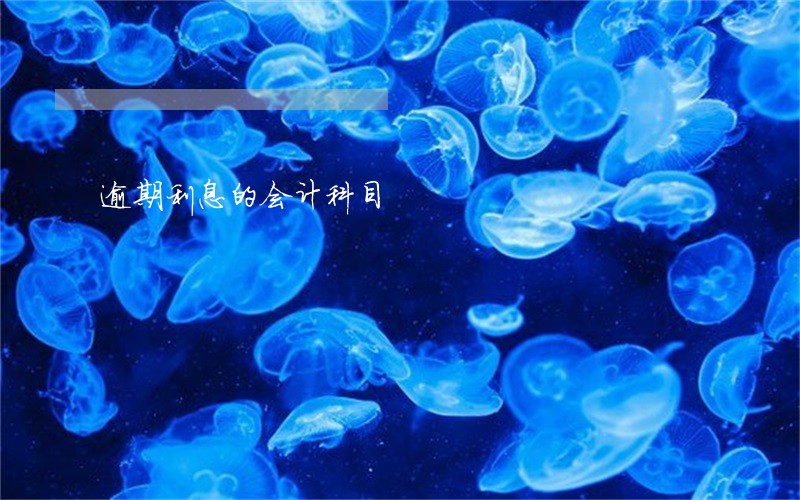 逾期利息的会计科目 逾期利息的会计科目