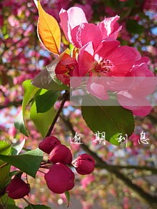 逾期利息的利率如何取