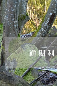 逾期利息的增值税纳税义务 逾期利息的增值税纳税义务