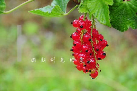 逾期利息的定义
