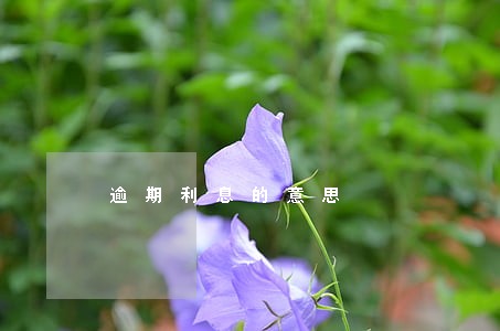 逾期利息的意思 逾期利息的意思