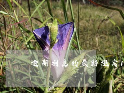 逾期利息的最新规定175 逾期利息的最新规定175