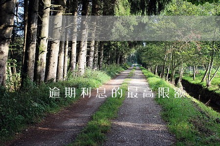 逾期利息的最高限额 逾期利息的最高限额