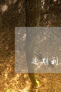 逾期利息的本金加上利息吗 逾期利息的本金加上利息吗