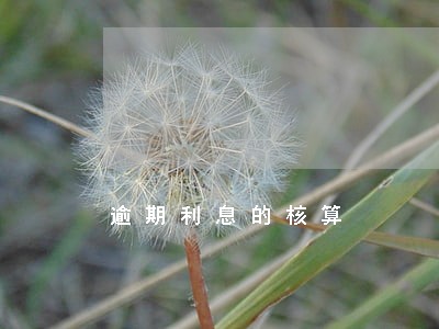 逾期利息的核算 逾期利息的核算