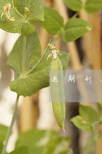 逾期利息的法律依据2018年 逾期利息的法律依据2018年