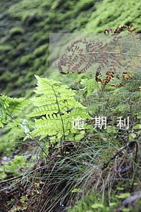 逾期利息的法律解释 逾期利息的法律解释