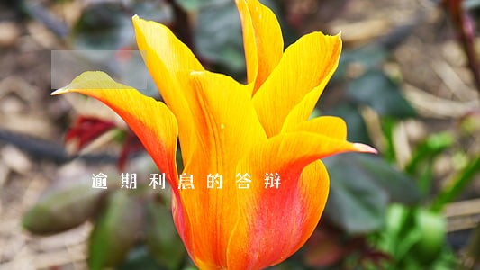 逾期利息的答辩 逾期利息的答辩