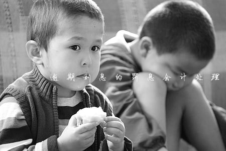 逾期利息的罚息会计处理 逾期利息的罚息会计处理