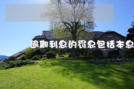 逾期利息的罚息包括本息吗 逾期利息的罚息包括本息吗