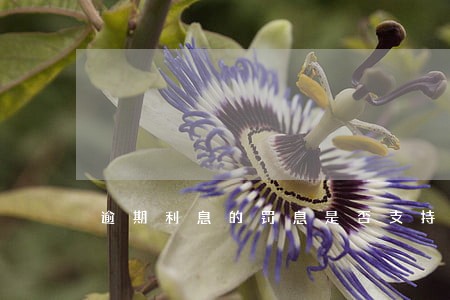 逾期利息的罚息是否支持 逾期利息的罚息是否支持