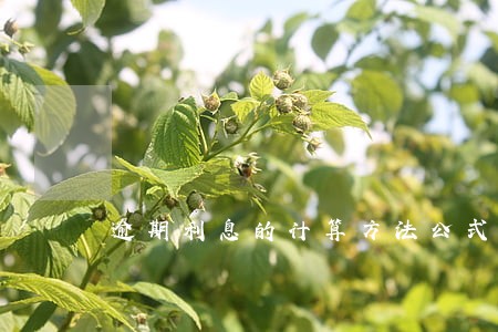 逾期利息的计算方法公式