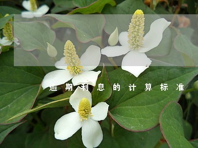 逾期利息的计算标准 逾期利息的计算标准