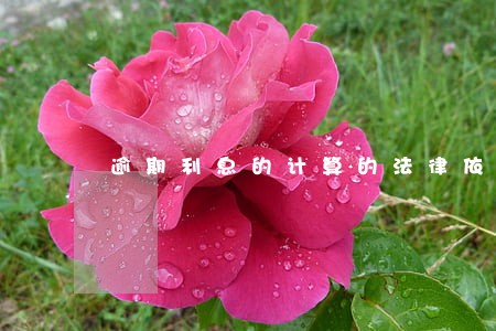 逾期利息的计算的法律依据 逾期利息的计算的法律依据