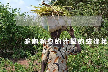 逾期利息的计算的法律条文 逾期利息的计算的法律条文