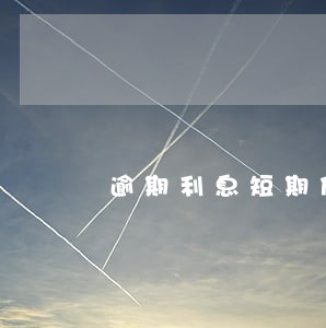 逾期利息短期借款 逾期利息短期借款