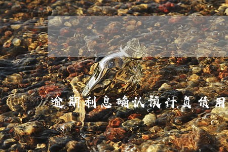 逾期利息确认预计负债用哪个科目 逾期利息确认预计负债用哪个科目