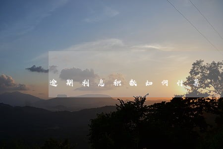 逾期利息积数如何计算 逾期利息积数如何计算