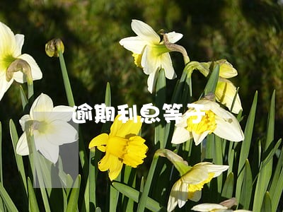 逾期利息等于 逾期利息等于