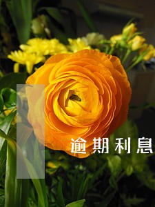 逾期利息算不算违约责任 逾期利息算不算违约责任