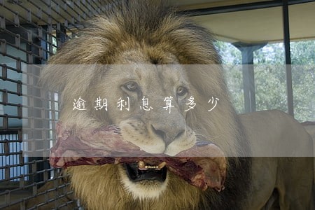 逾期利息算多少 逾期利息算多少