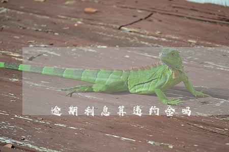 逾期利息算违约金吗 逾期利息算违约金吗