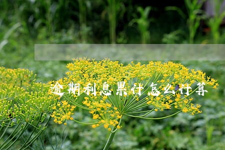 逾期利息累计怎么计算 逾期利息累计怎么计算