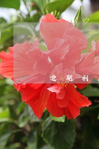 逾期利息约定为零