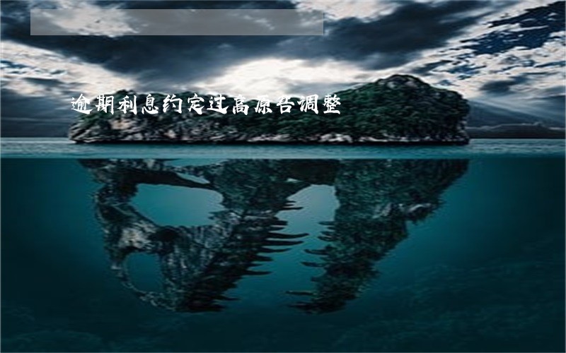 逾期利息约定过高原告调整 逾期利息约定过高原告调整